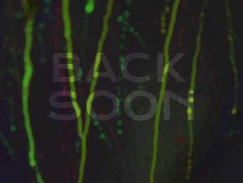 HeyBanana bongacams stream image