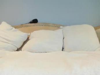 eatmygingersnapps chaturbate stream image