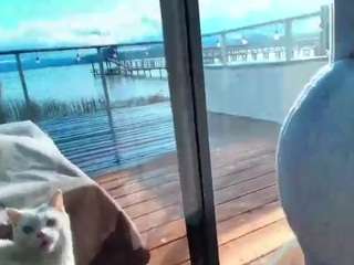 starryari69 camsoda stream image, 02.04.2025 00:50