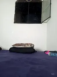 pepsicolacouple stripchat stream image, 11.04.2025 00:10