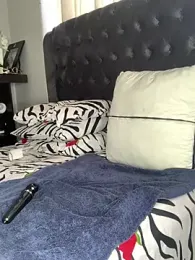 slimcateee stripchat stream image, 08.05.2025 11:30